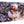 Tableau mural représentant deux bernard-l’ermite dans leurs coquilles sur un sol de corail et de coquillages aux tons naturels