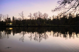 Calm lake at sunset with trees and building reflections, tranquil landscape wall art