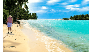 People walking on a tropical beach with palm trees, blue ocean, and a bright sky