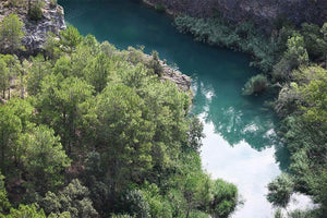 Aerial view of green pine forest beside calm turquoise river with rocky edge