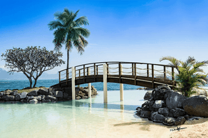 Serene tropical bridge over clear water with palm trees, rocks, and blue sky