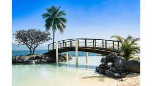 Tranquil beach scene with wooden bridge over water, palm trees, and blue sky
