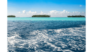 Tropical island with palm trees and turquoise sea under blue sky, scenic ocean landscape