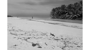 Black and white photo of empty tropical beach with palm trees and person walking on the sand