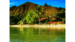 Tropical beach with clear water, palm tree, huts, and lush mountains under blue sky